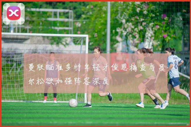 曼联瞄准多特年轻才俊恩梅查与吕尔松欲加强阵容深度