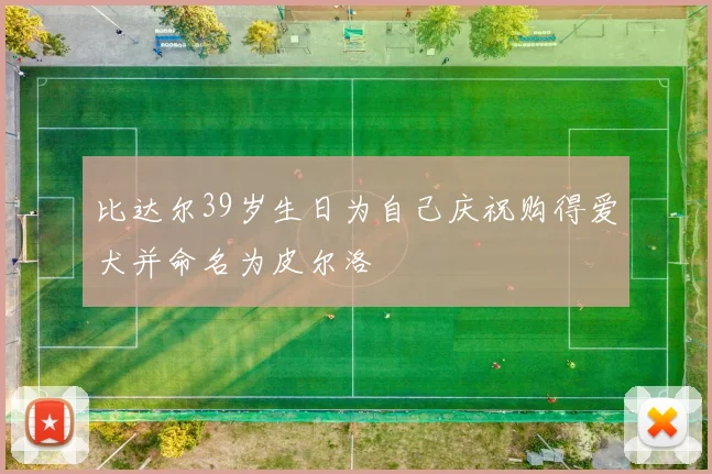 比达尔39岁生日为自己庆祝购得爱犬并命名为皮尔洛