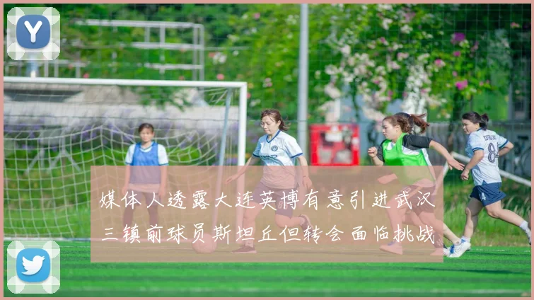 媒体人透露大连英博有意引进武汉三镇前球员斯坦丘但转会面临挑战